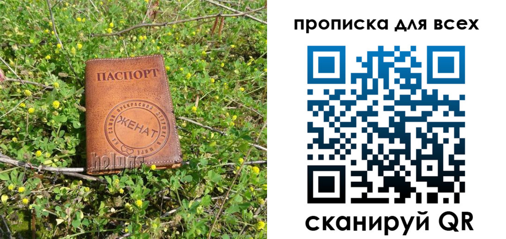 прописка поиск в Звенигово